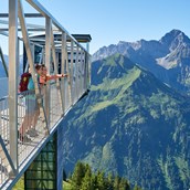 Ausflugsziele im Oberallgäu: Walmendingerhornbahn - Bergbahnen im Kleinwalsertal - Walmendingerhornbahn im Sommer