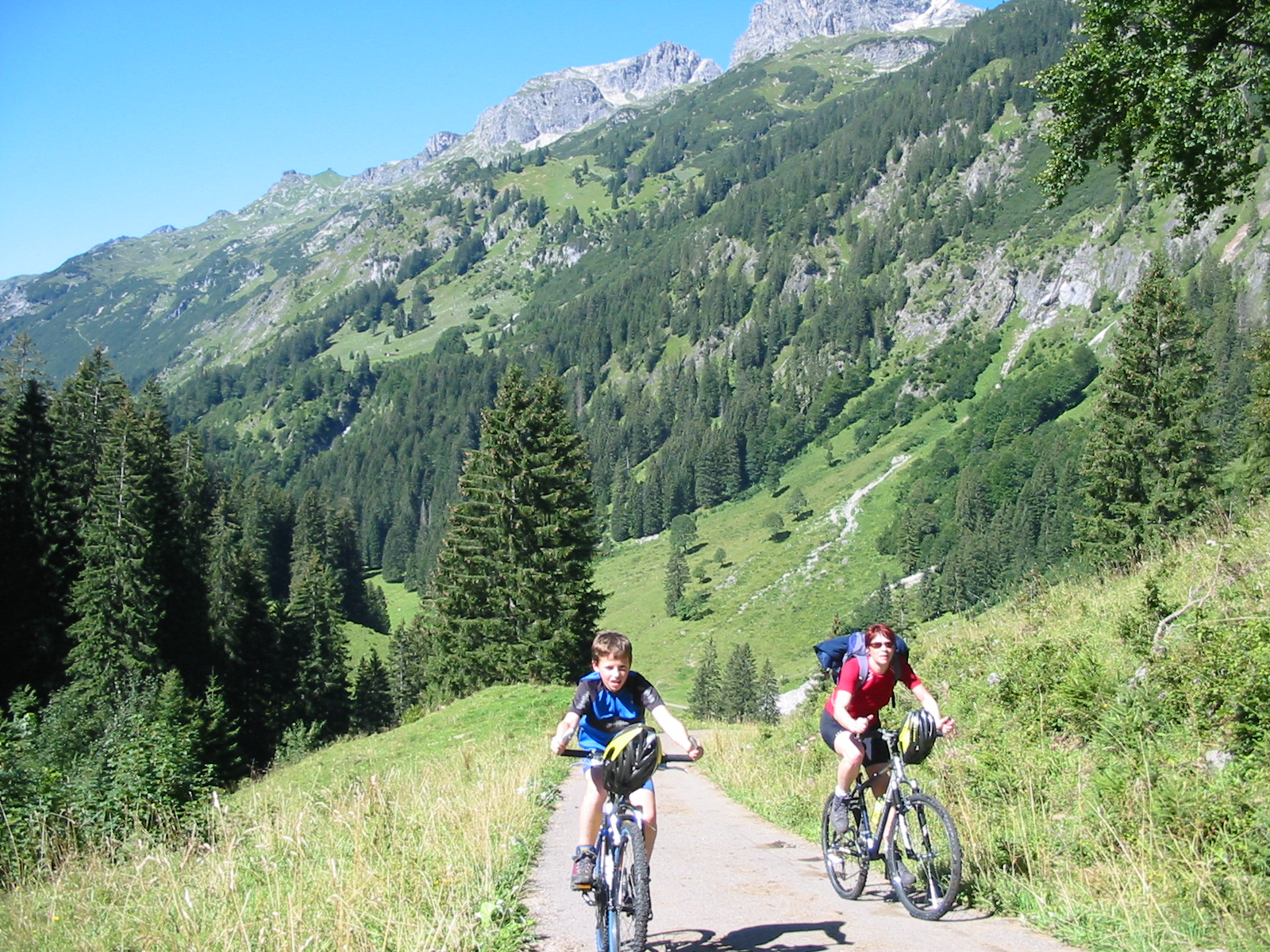 Hotels und Ferienwohnungen im Oberallgäu - Saison: Sommer - Enzianhütte