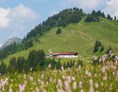 Erlebnisse im Oberallgäu: Falkenhütte