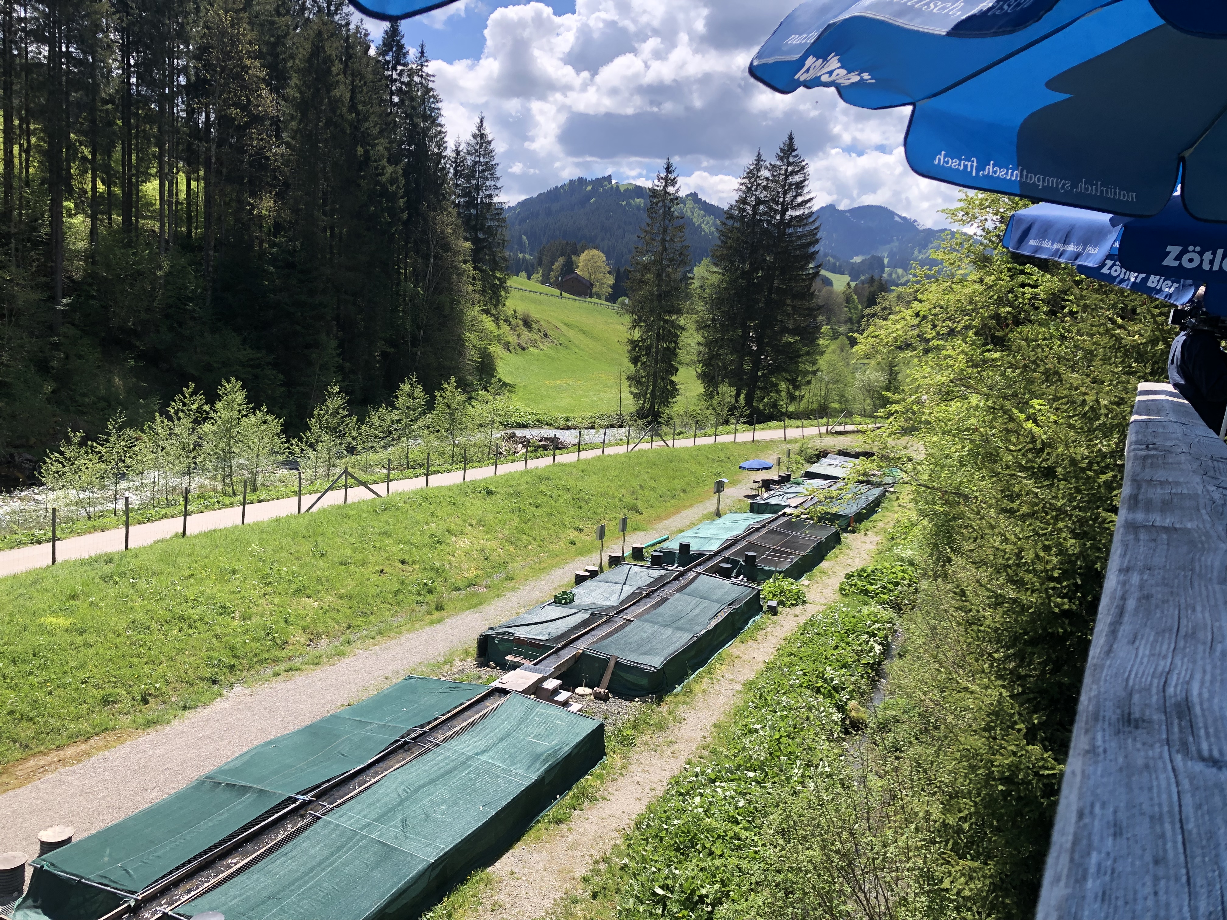 Restaurants im Oberallgäu: Bergfischzucht & Brotzeitstube Gunzesried - Bergfischzucht Gunzesried mit Probierstube & Sonnenterrasse 