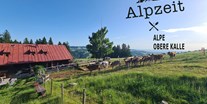 Hotels und Ferienwohnungen im Oberallgäu - Kinder & Familie: Kindergerichte - Bayern - Kindertag in der Alpsee Bergwelt - Kindererlebnistag in der Alpsee Bergwelt