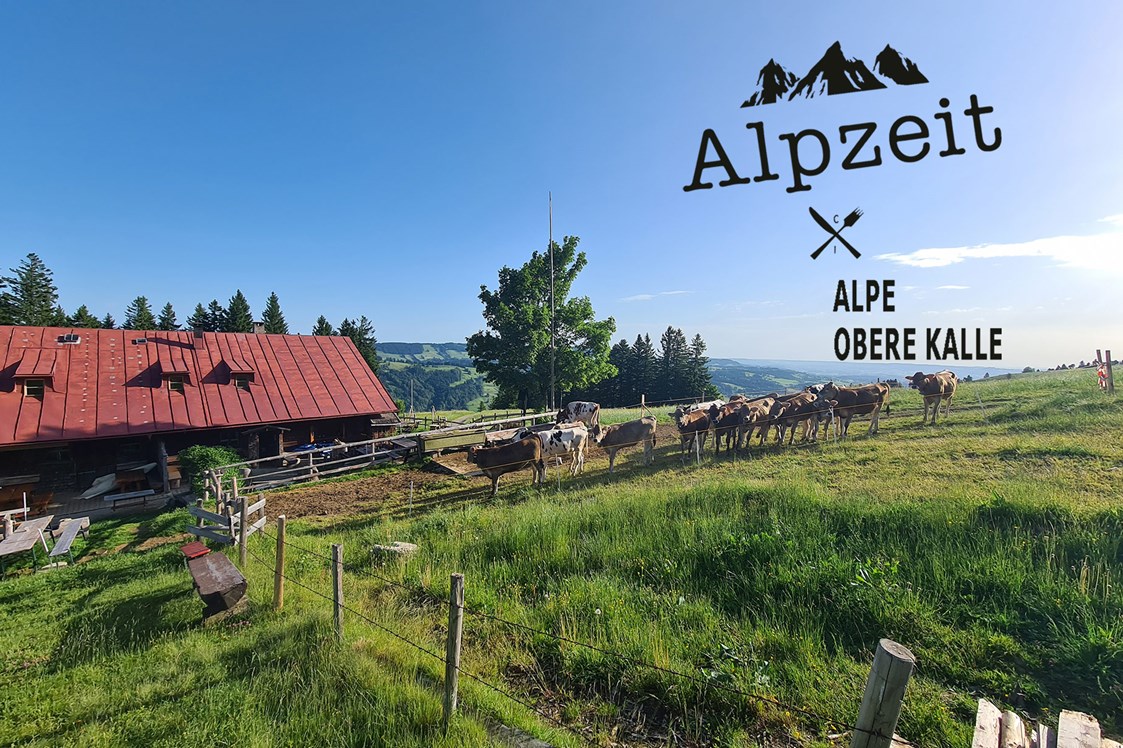 Veranstaltungen im Oberallgäu: Kindertag in der Alpsee Bergwelt - Kindererlebnistag in der Alpsee Bergwelt