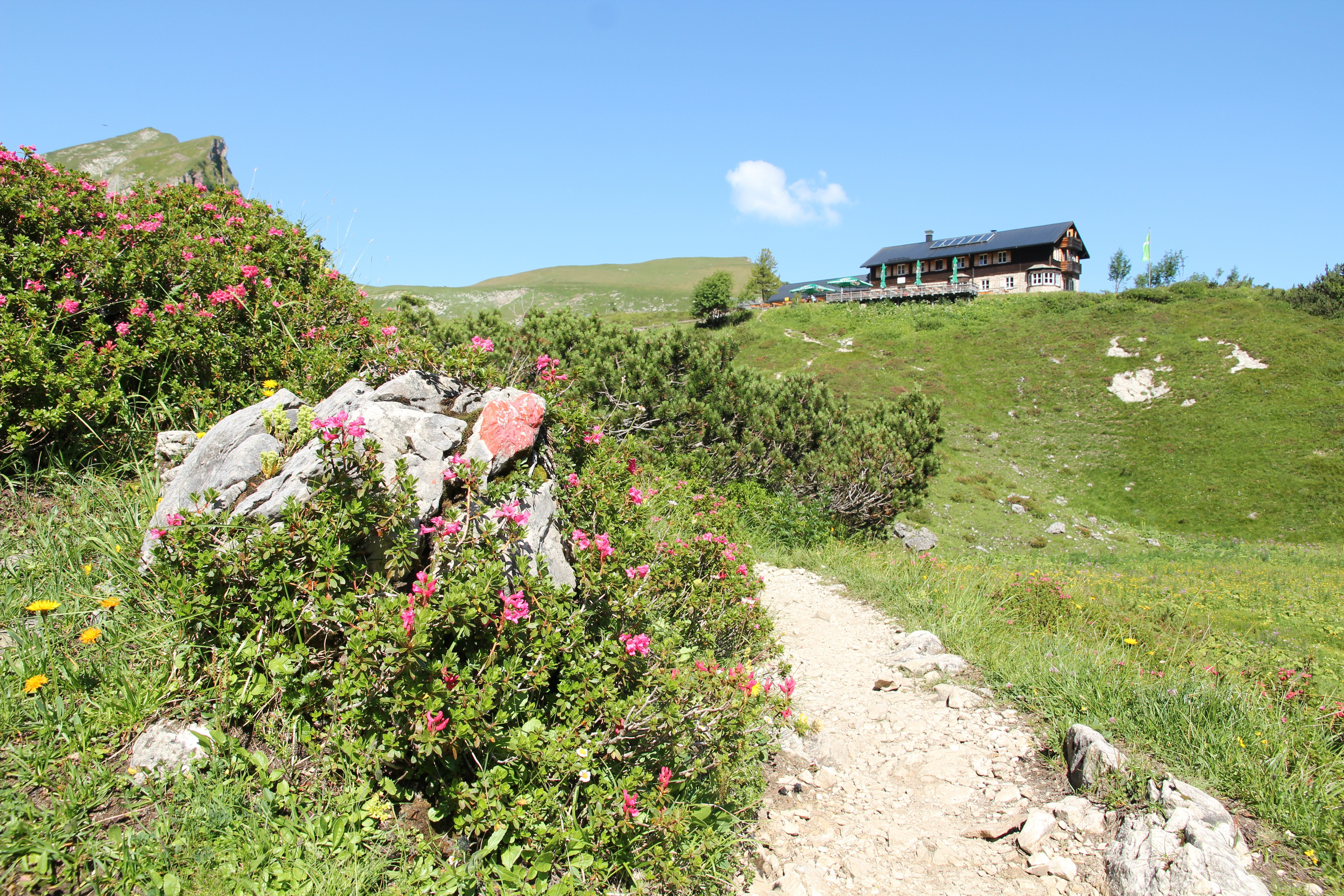 Hotels und Ferienwohnungen im Oberallgäu - Österreich - Landsberger Hütte