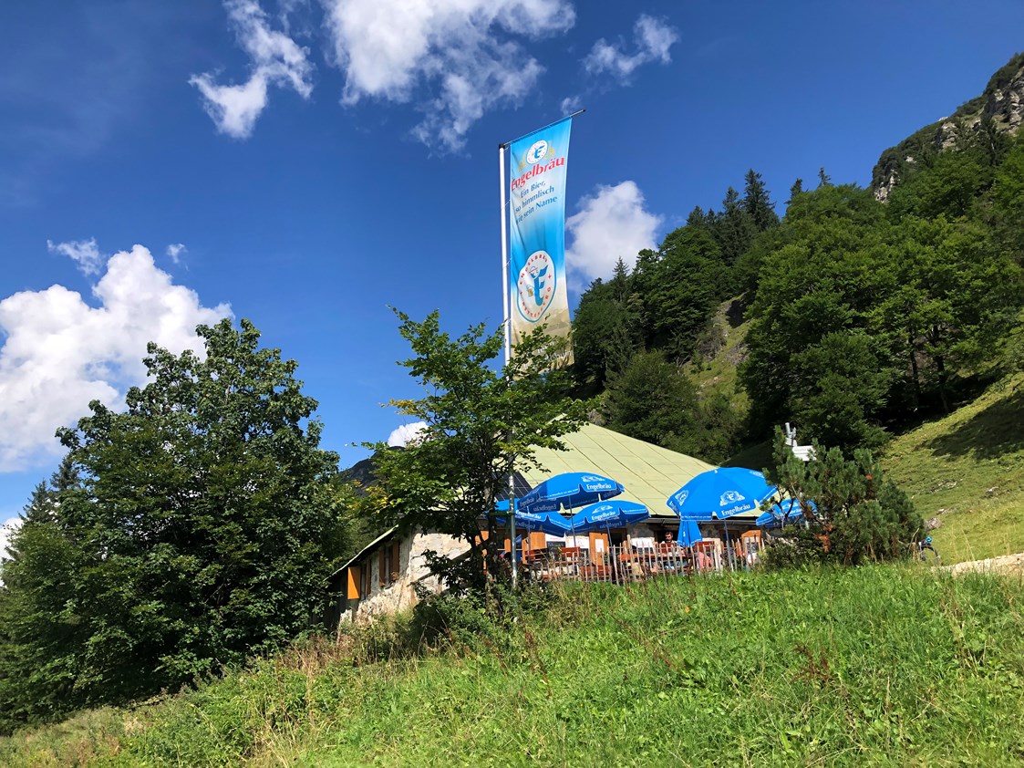 Erlebnisse im Oberallgäu: Alpe Bärgündle am Aufstieg zum Prinz Luitpold Haus in den Allgäuer Hochalpen - Prinz Luitpold Haus in Hinterstein