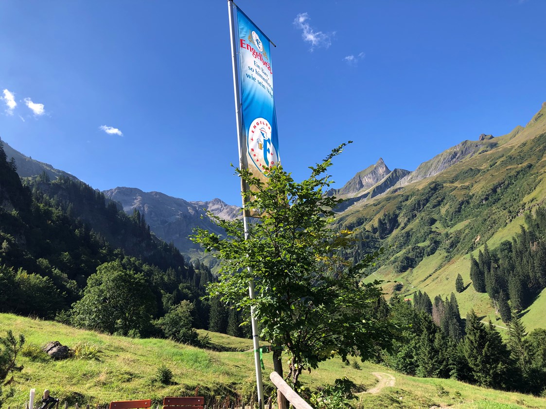 Erlebnisse im Oberallgäu: An der Alpe Bärgündle am Aufstieg zum Prinz Luitpold Haus - Prinz Luitpold Haus in Hinterstein