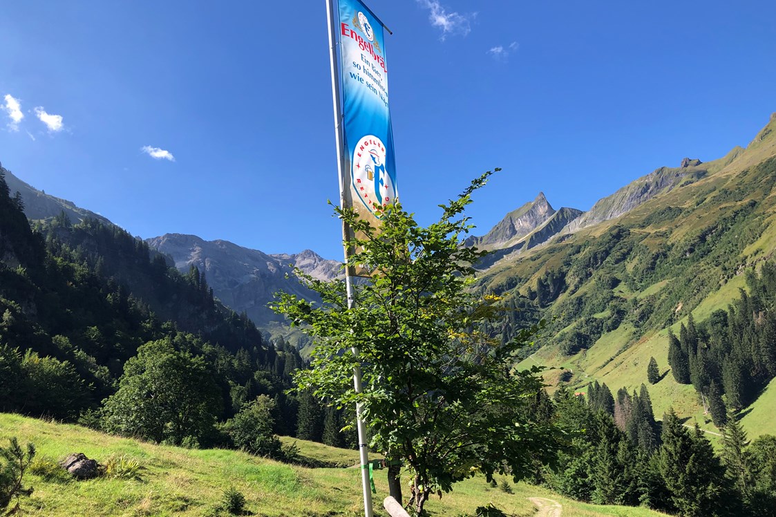 Erlebnisse im Oberallgäu: An der Alpe Bärgündle am Aufstieg zum Prinz Luitpold Haus - Prinz Luitpold Haus in Hinterstein
