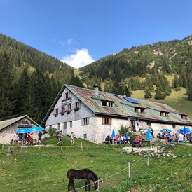 Erlebnisse im Oberallgäu: Willersalpe - Bad Hindelang / Hinterstein im Allgäu -  Willersalpe - Hinterstein im Allgäu