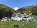 Erlebnisse im Oberallgäu: Willersalpe - Bad Hindelang / Hinterstein im Allgäu -  Willersalpe - Hinterstein im Allgäu