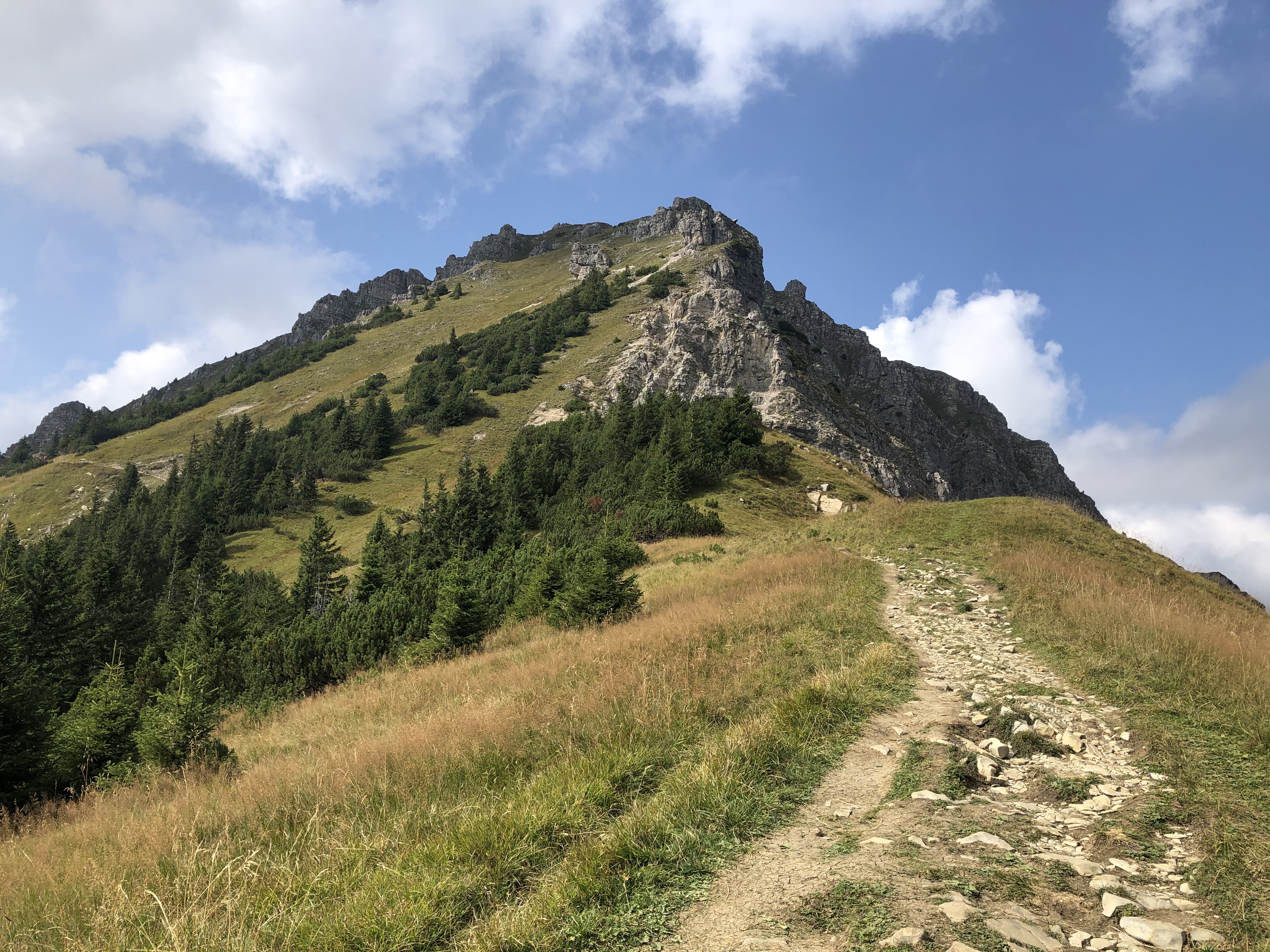 Erlebnisse im Oberallgäu: Willersalpe - Bad Hindelang / Hinterstein im Allgäu - Willersalpe in Bad Hindelang - Hinterstein im Allgäu