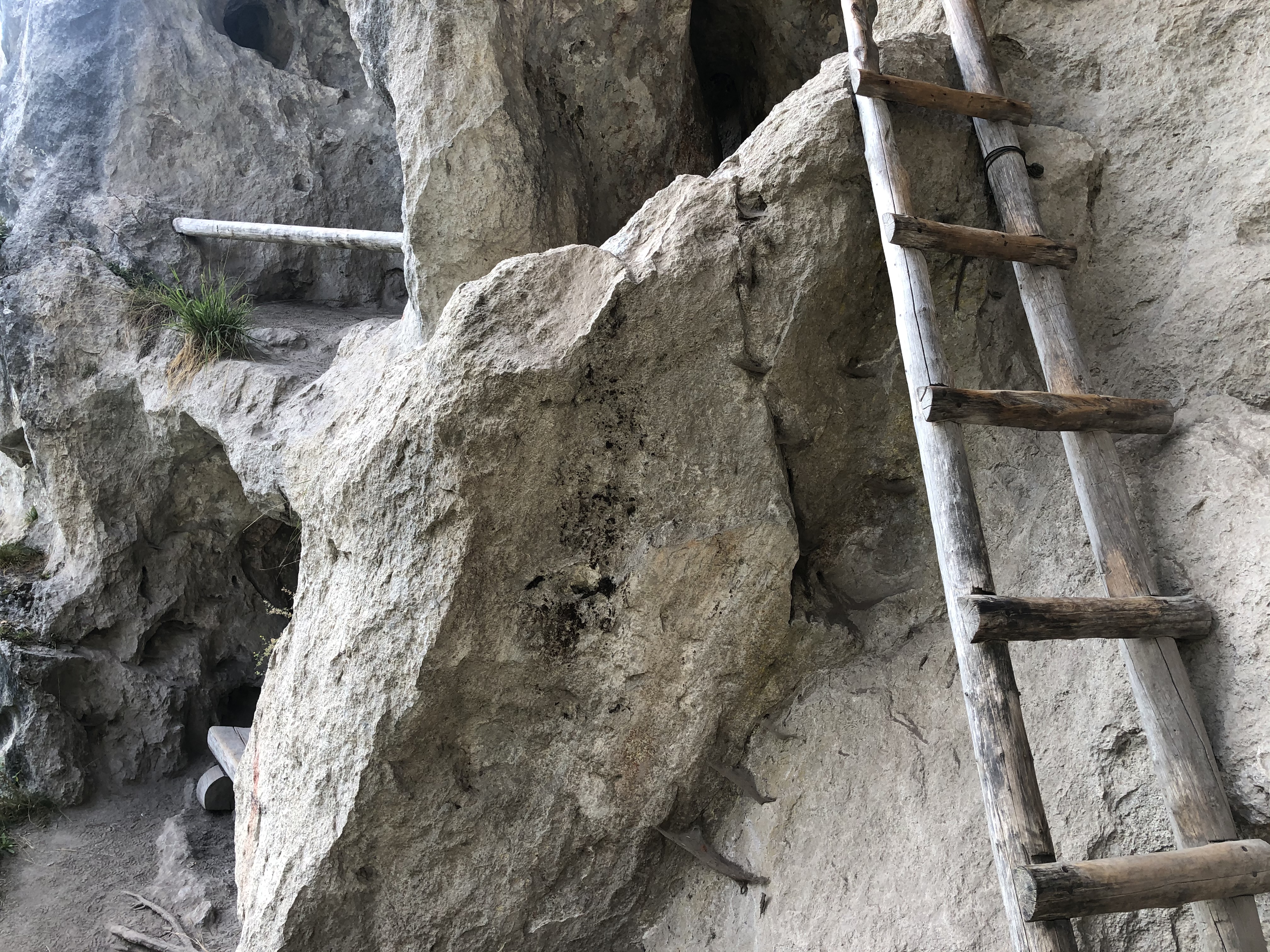 Erlebnisse im Oberallgäu: Willersalpe - Hinterstein im Allgäu - Willersalpe in Bad Hindelang - Hinterstein im Allgäu