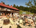 Erlebnisse: Alpenwildpark - Wildgehege in Obermaiselstein im Allgäu - Alpenwildpark in Obermaiselstein