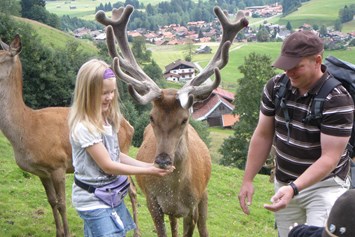Erlebnisse im Oberallgäu: Wildpark in Obermaiselstein im Allgäu - Alpenwildpark in Obermaiselstein im Allgäu