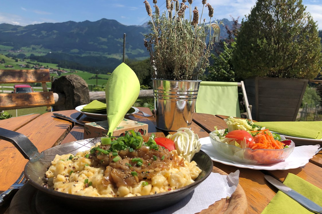 Erlebnisse im Oberallgäu: Alpenwildpark in Obermaiselstein im Oberallgäu - Alpenwildpark in Obermaiselstein mit Shuttle-Service