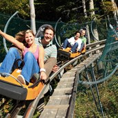 ausflugsziele: Alpsee Coaster zwischen Immenstadt und Oberstaufen - Alpsee Coaster