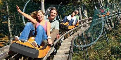 Hotels und Ferienwohnungen im Oberallgäu - Kategorien: Sommerrodelbahn - Alpsee Coaster zwischen Immenstadt und Oberstaufen - Alpsee Coaster