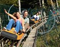 Erlebnisse: Alpsee Coaster zwischen Immenstadt und Oberstaufen - Alpsee Coaster