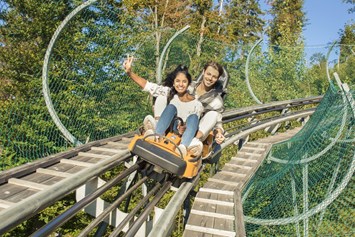 Erlebnisse: Alpsee Coaster zwischen Immenstadt und Oberstaufen - Alpsee Coaster
