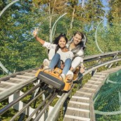 Ausflugsziele im Oberallgäu: Alpsee Coaster zwischen Immenstadt und Oberstaufen - Alpsee Coaster in der Alpsee Bergwelt
