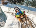 Erlebnisse im Oberallgäu: Alpsee Coaster zwischen Immenstadt und Oberstaufen - Alpsee Coaster in der Alpsee Bergwelt