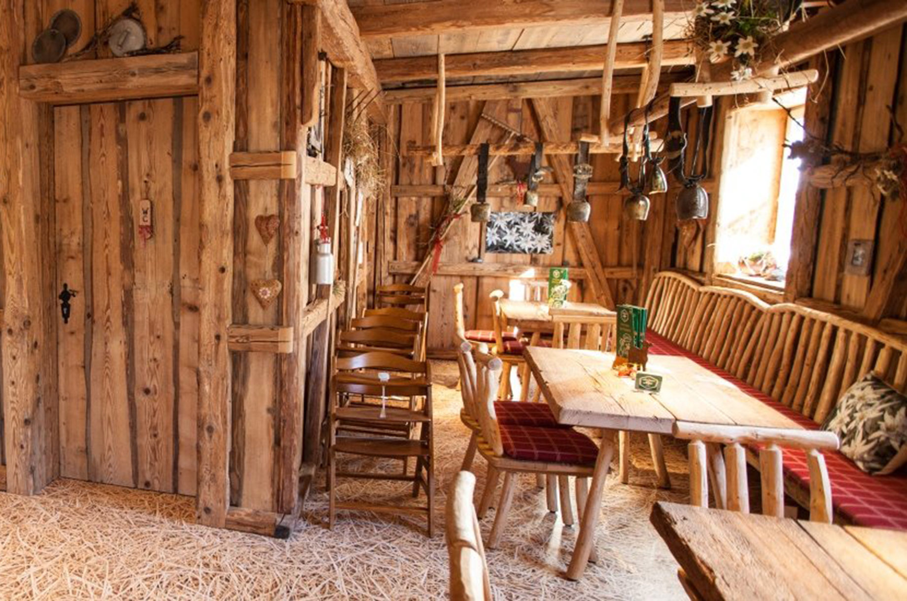 Erlebnisse im Oberallgäu: Alpsee Coaster zwischen Immenstadt und Oberstaufen - Alpsee Coaster in der Alpsee Bergwelt