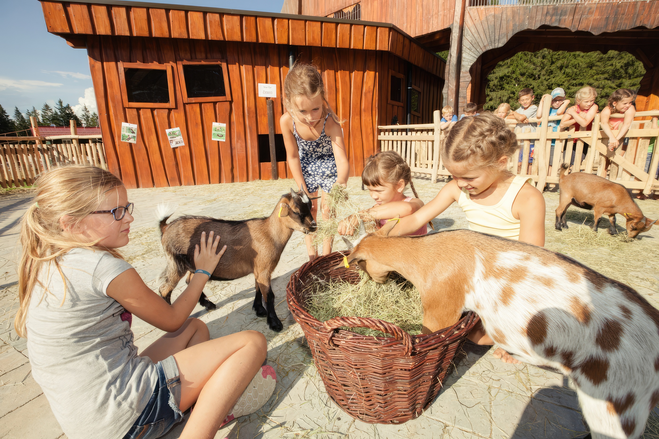 Hotels und Ferienwohnungen im Oberallgäu - Parken & Anreise: Anreise mit ÖPNV möglich - Alpsee Coaster zwischen Immenstadt und Oberstaufen - Alpsee Coaster in der Alpsee Bergwelt im Allgäu