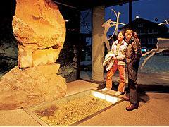 Erlebnisse im Oberallgäu: Bergschau 1122