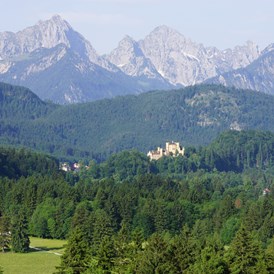 Erlebnisse im Oberallgäu: Schloss Hohenschwangau