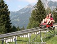 Erlebnisse im Oberallgäu: Sommerrodelbahn - Winterrodelbahn am Söllereck - Sommer- und Winterrodelbahn am Söllereck