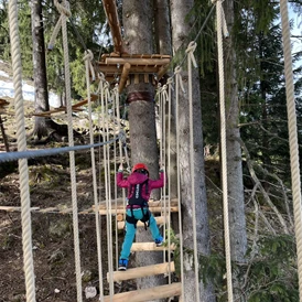 Erlebnisse im Oberallgäu: Waldseilgarten in Bad Hindelang an der Hornbahn