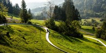 Hotels und Ferienwohnungen im Oberallgäu - Parken & Anreise: Anreise mit ÖPNV möglich - Oberstaufen - Sommerrodelbahn am Hündle in Oberstaufen im Allgäu - Sommerrodelbahn am Hündle in Oberstaufen im Allgäu