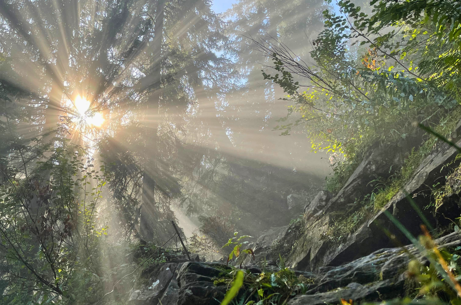Veranstaltungen im Oberallgäu: Kleinwalsertal.Begeistert - gemeinsam Berge erleben