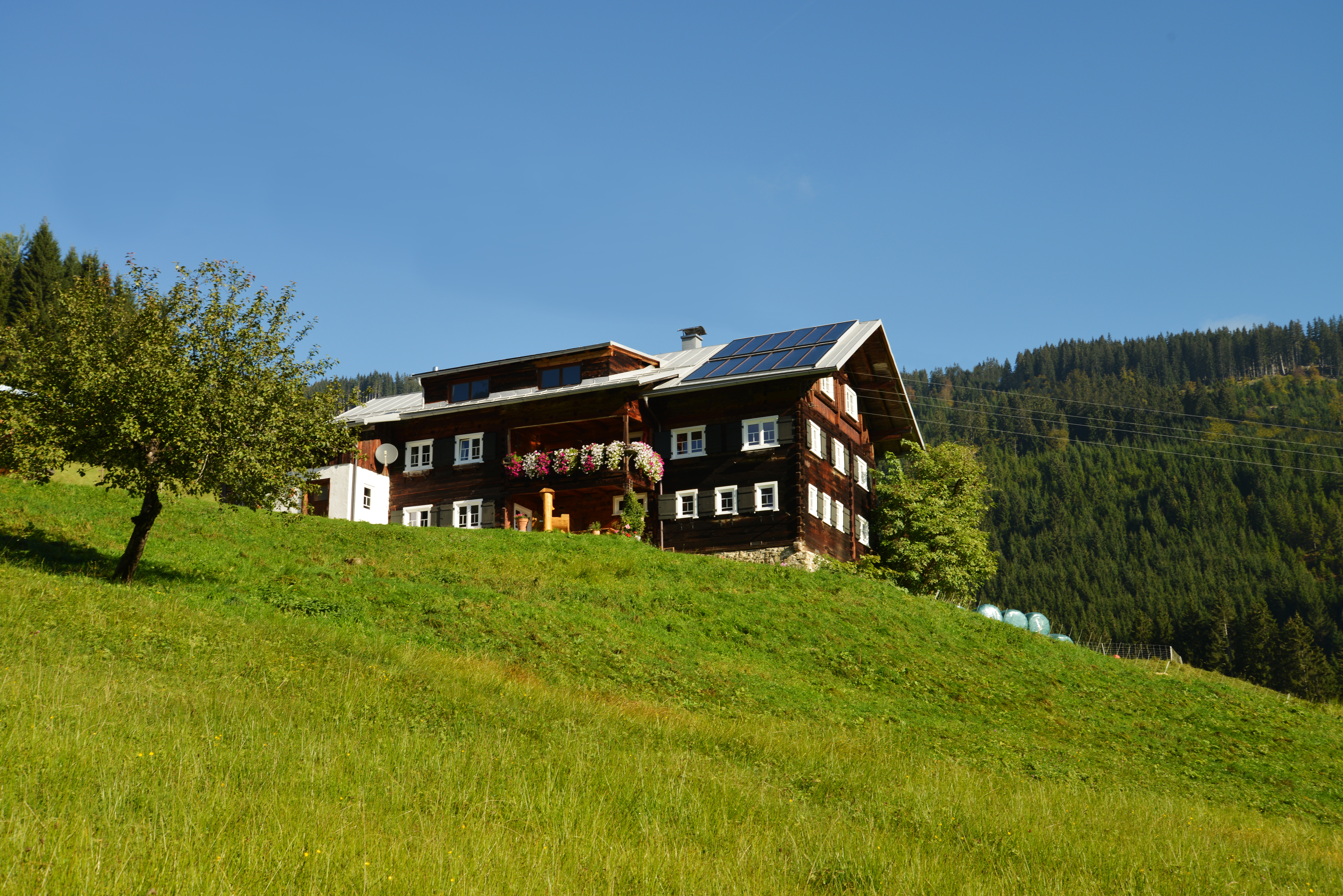 Veranstaltungen im Oberallgäu: Kleinwalsertal.Begeistert - gemeinsam Berge erleben