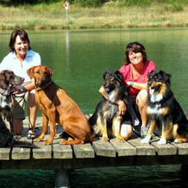 Erlebnisse im Oberallgäu: Hundewandertouren Kleinwalsertal