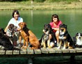 Erlebnisse im Oberallgäu: Hundewandertouren Kleinwalsertal