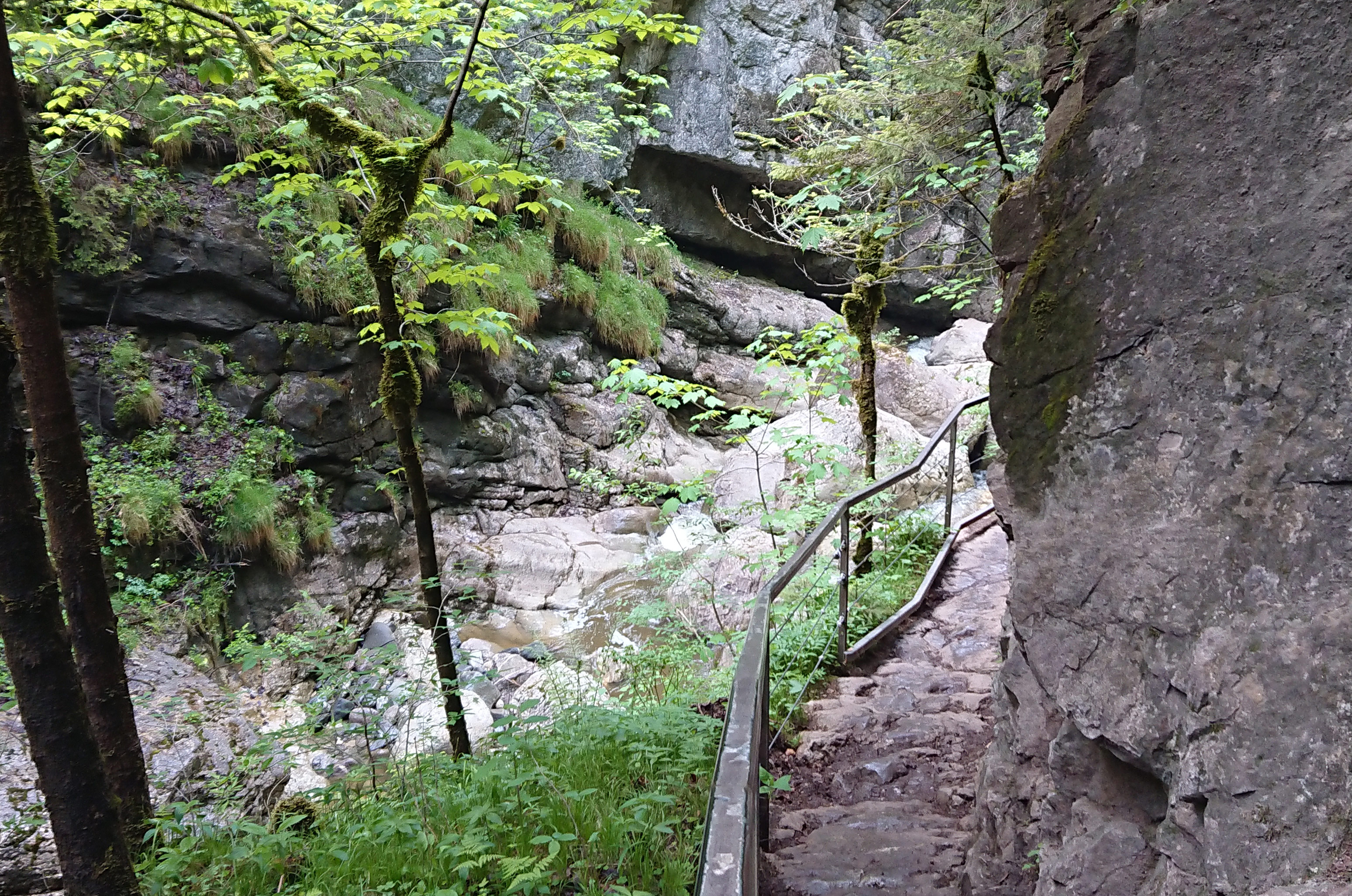 Erlebnisse im Oberallgäu: Starzlachklamm am Fuß des Grünten