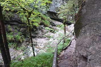 Erlebnisse im Oberallgäu: Starzlachklamm am Fuß des Grünten