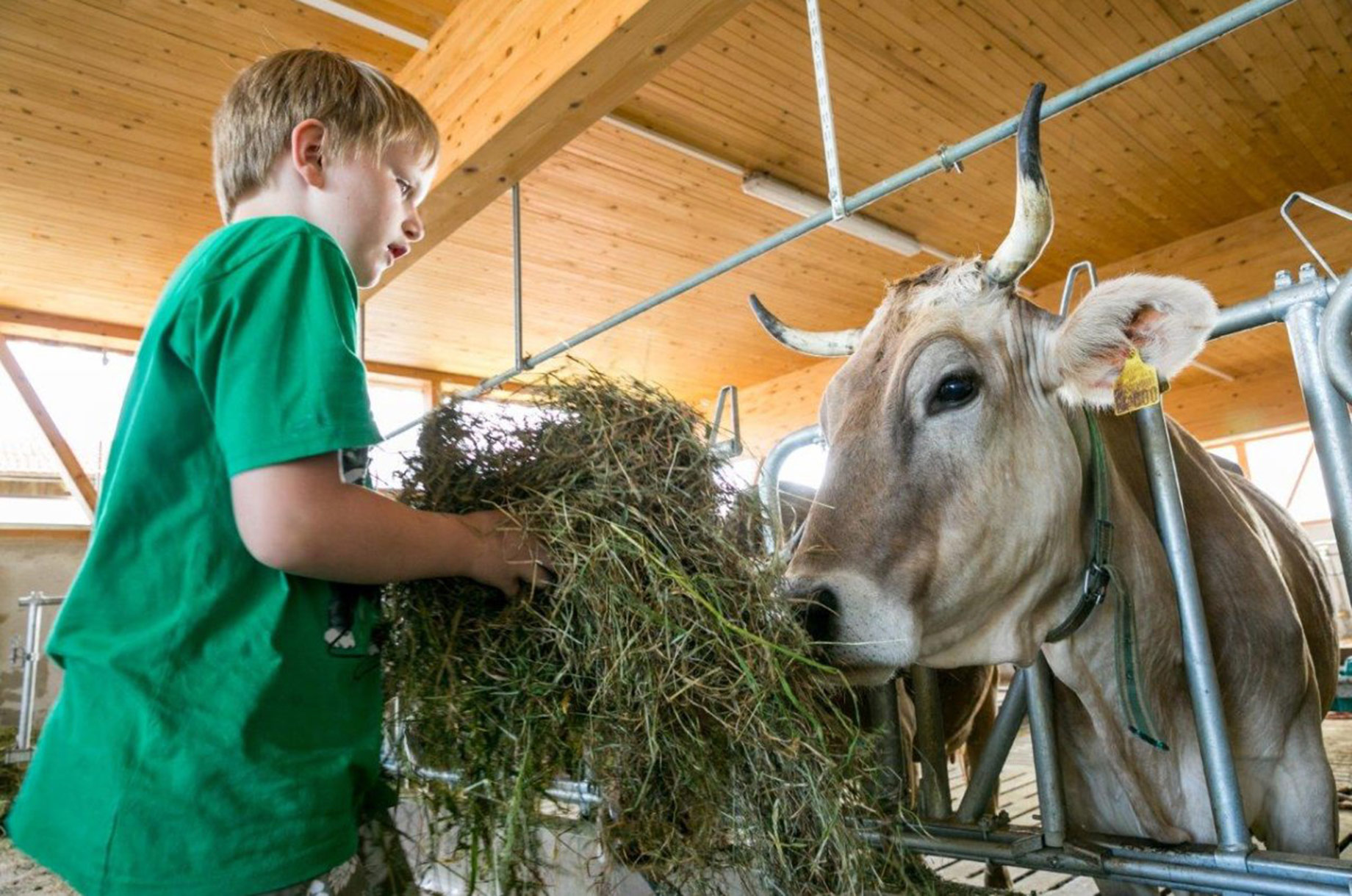 Hotels und Ferienwohnungen im Oberallgäu - Parken & Anreise: Anreise mit ÖPNV möglich - Allgäuer Bergbauernmuseum Immenstadt - Diepolz - Allgäuer Bergbauernmuseum in Immenstadt - Diepolz
