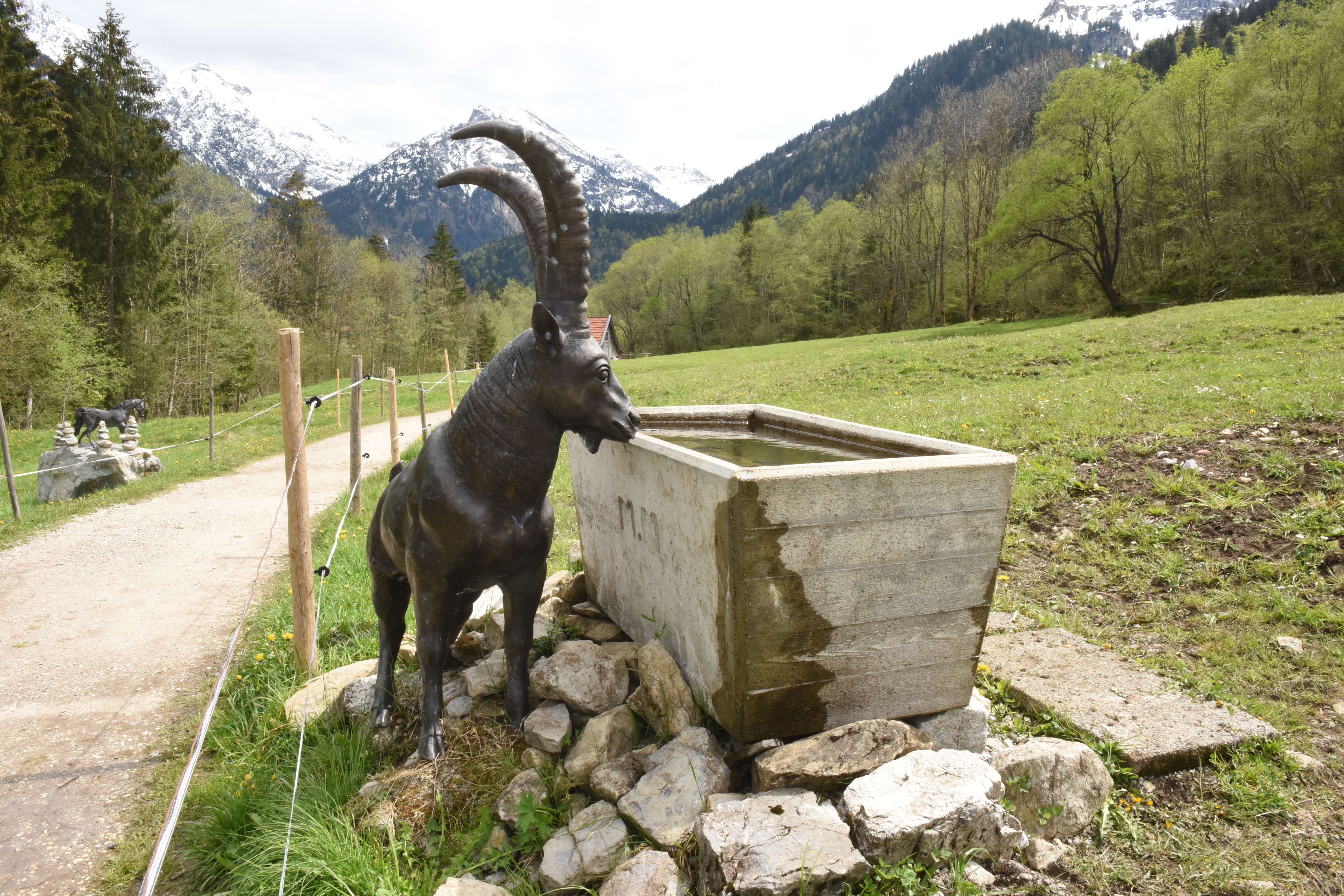 Erlebnisse im Oberallgäu: Kutschenmuseum in Bad Hindelang - Hinterstein im Allgäu - Kutschenmuseum in Bad Hindelang im Allgäu