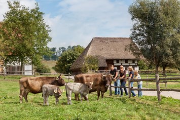 Erlebnisse im Oberallgäu: Schwäbisches Bauernhofmuseum Illerbeuren