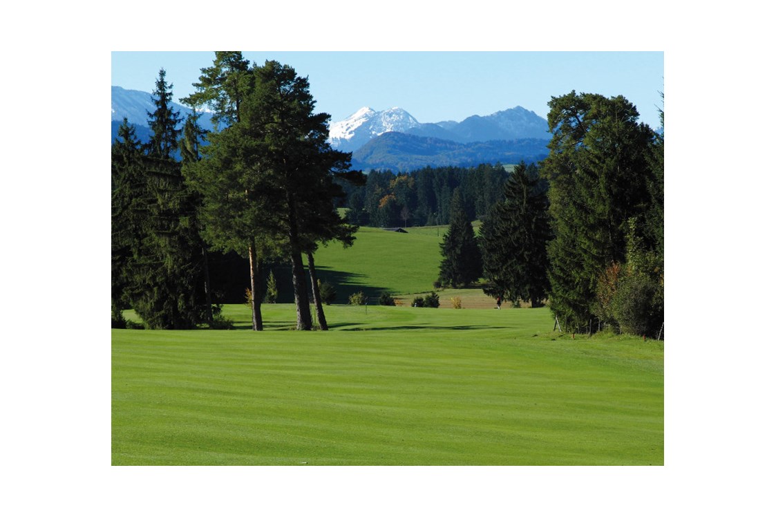Erlebnisse im Oberallgäu: Golfanlage Auf der Gsteig Lechbruck