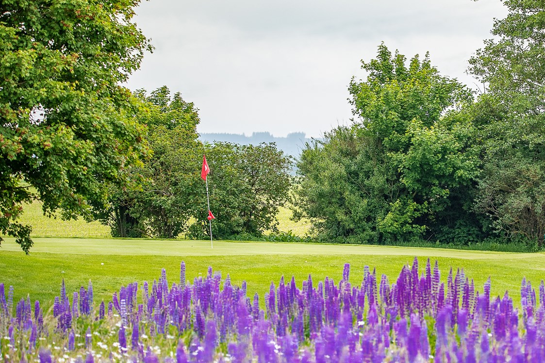 Erlebnisse im Oberallgäu: Golfclub Memmingen