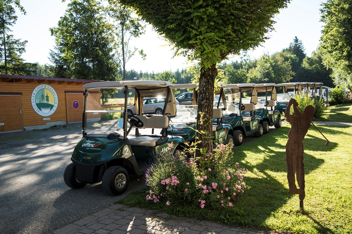 Erlebnisse im Oberallgäu: Allgäuer Golf- und Landclub Ottobeuren