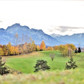 Erlebnisse im Oberallgäu: Golfplatz Stenz