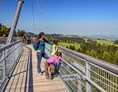 Erlebnisse: Skywalk in Scheidegg im Allgäu / Westallgäu - Skywalk in Scheidegg im Allgäu / Westallgäu