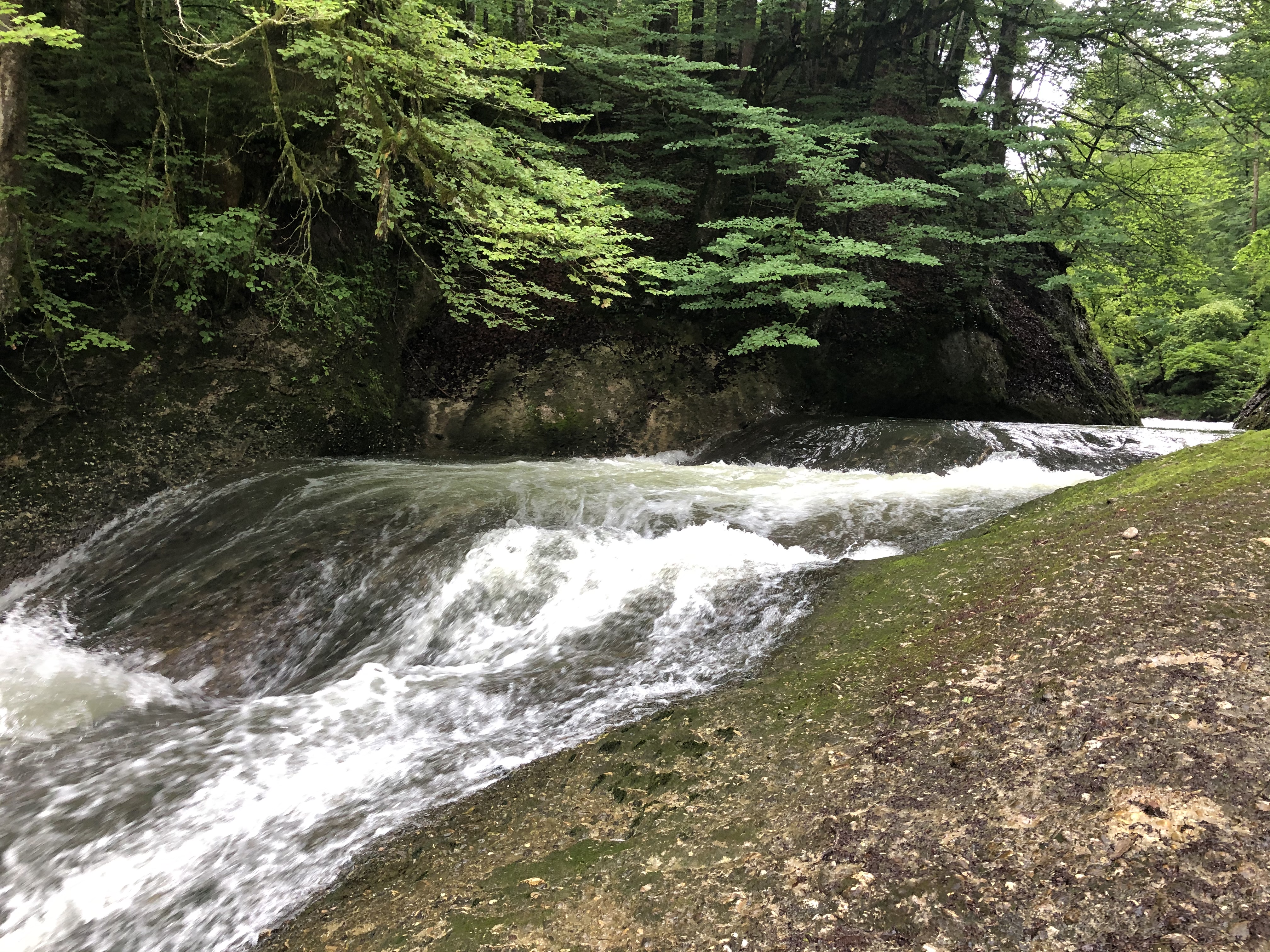 Erlebnisse im Oberallgäu: Eistobel Maierhöfen - Grünenbach