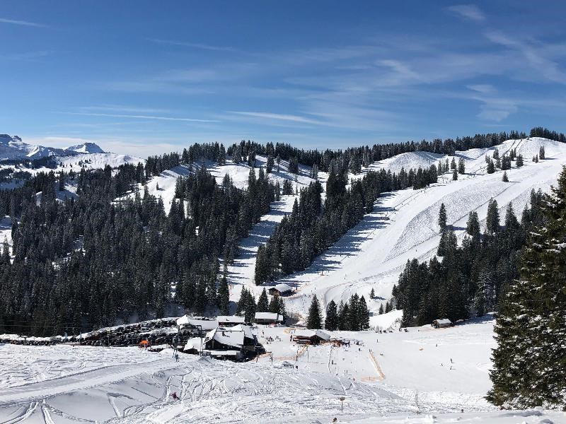 Erlebnisse im Oberallgäu: Skigebiet Grasgehren am Riedbergpass im Oberallgäu - Grasgehren Skigebiet - Obermaiselstein