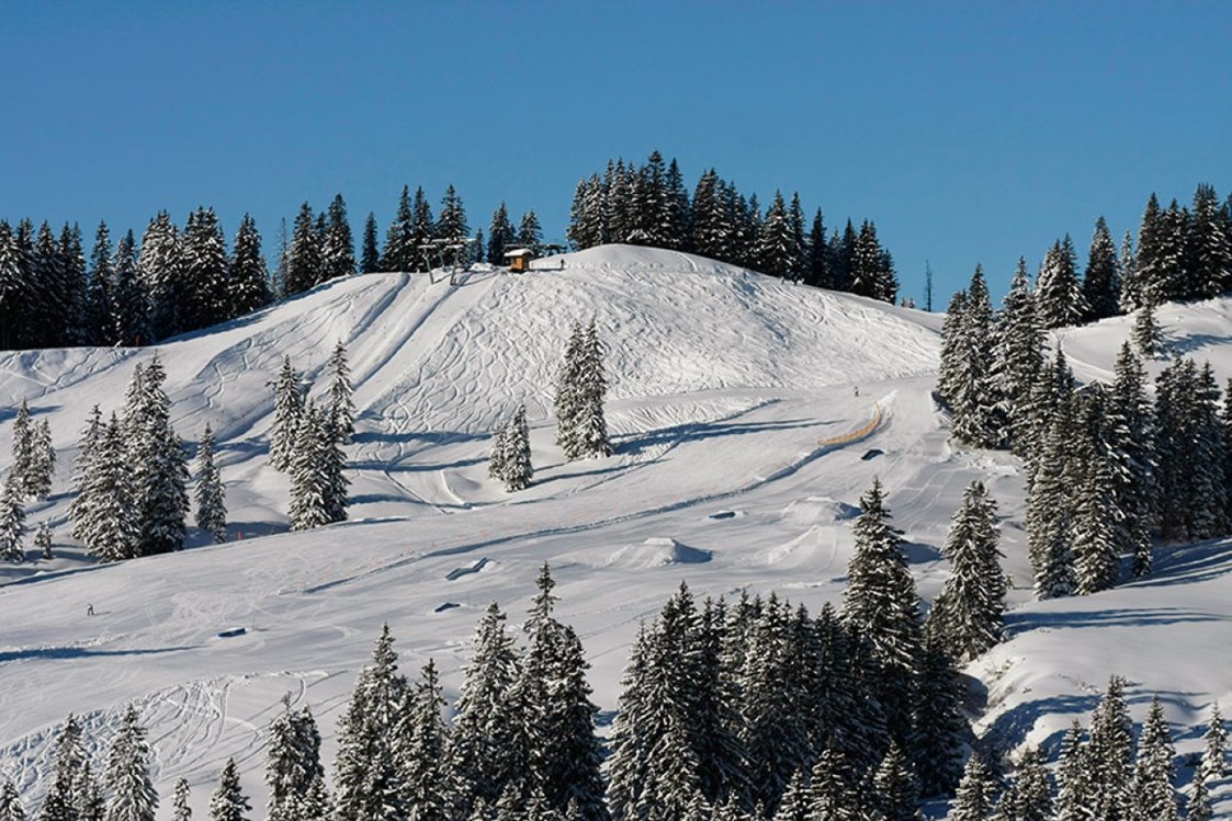 Erlebnisse im Oberallgäu: Skigebiet Grasgehren zwischen Obermaiselstein und Balderschwang im Allgäu - Grasgehren Skigebiet - Obermaiselstein