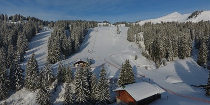 Hotels und Ferienwohnungen im Oberallgäu - Kinder & Familie: Kindergerichte - Skigebiet Grasgehren - Obermaiselstein / Balderschwang - Sonnen- Skiparadies Grasgehren am Riedbergpass