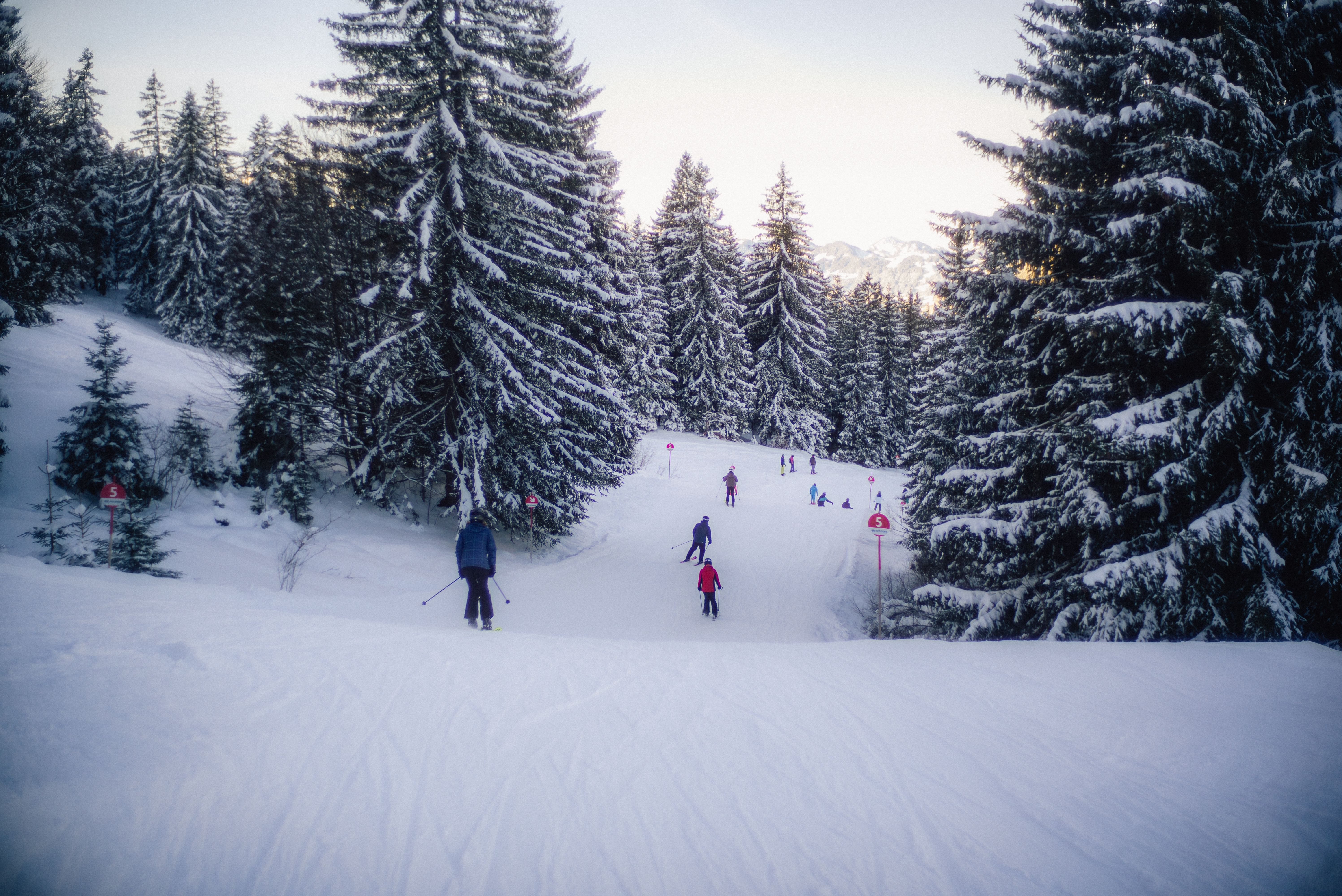 Erlebnisse im Oberallgäu: Skigebiet Bad Hindelang-Oberjoch - Skigebiet Bad Hindelang-Oberjoch