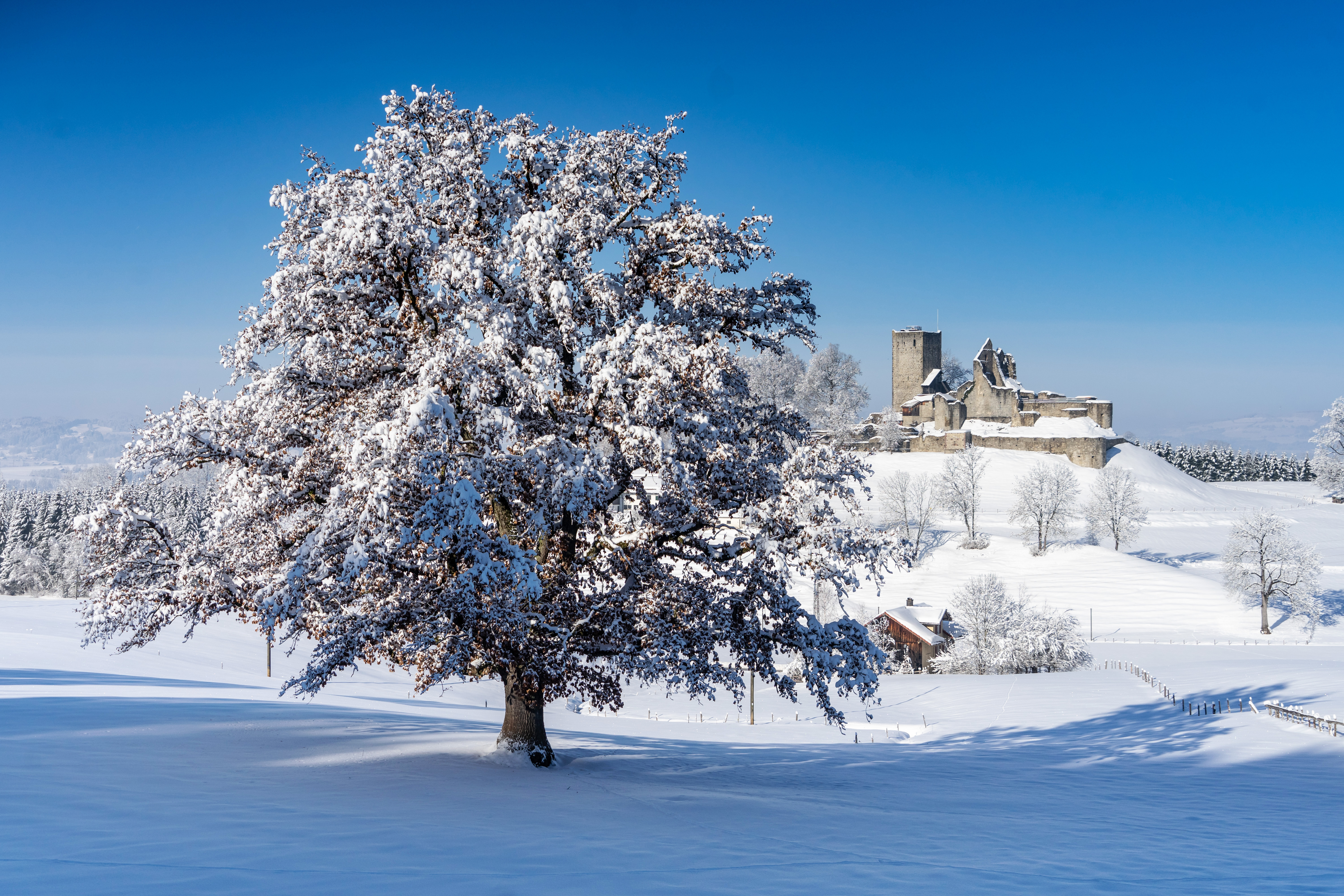 Erlebnisse im Oberallgäu: Burgruine mit Burgmuseum in Sulzberg im Allgäu - Burgruine Sulzberg mit Burgmuseum
